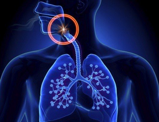 Animated X ray of person with blocked airway circled in red