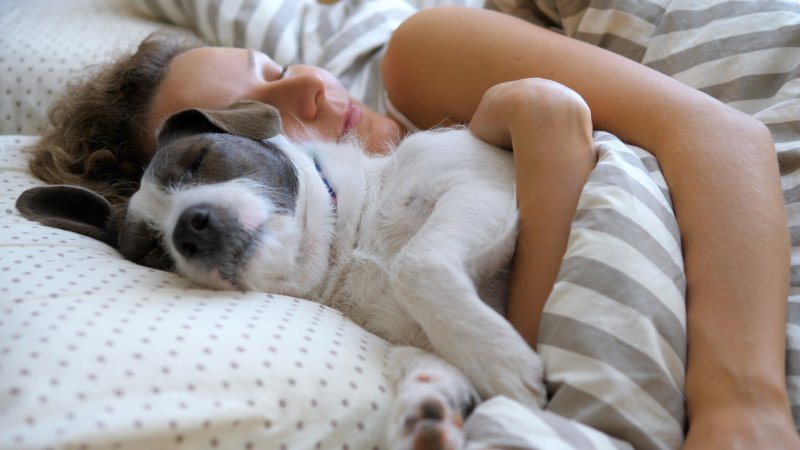 woman asleep in bed hugging her dog